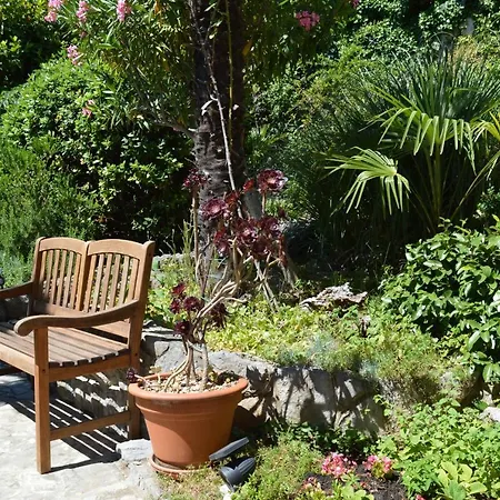 Beba's Garden *