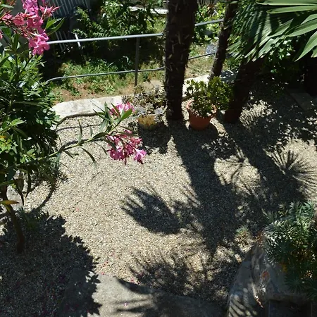 Beba's Garden